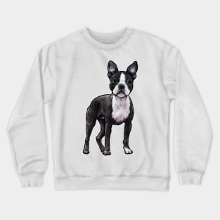 Boston Terrier Dog Crewneck Sweatshirt